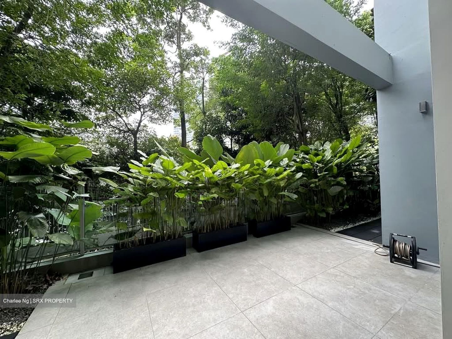 Botannia (D5), Condominium #555208051